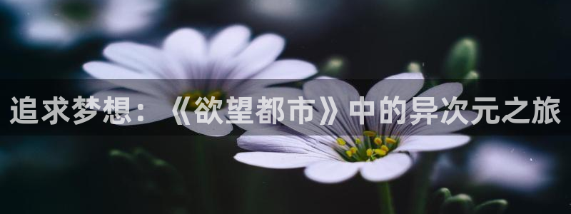 漫画岛官网免费观看下载：追求梦想：《欲望都市》中的异次元之旅