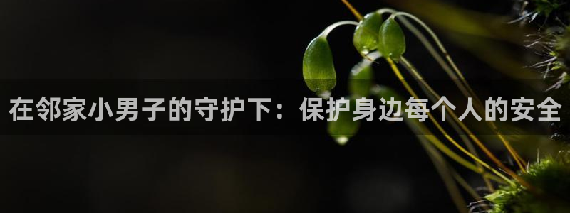 漫画岛官网：在邻家小男子的守护下：保护身边每个人的安全