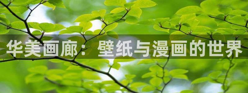 漫画岛下载官方免费：华美画廊：壁纸与漫画的世界