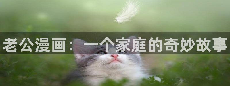 漫画岛官网网页入口：老公漫画：一个家庭的奇妙故事