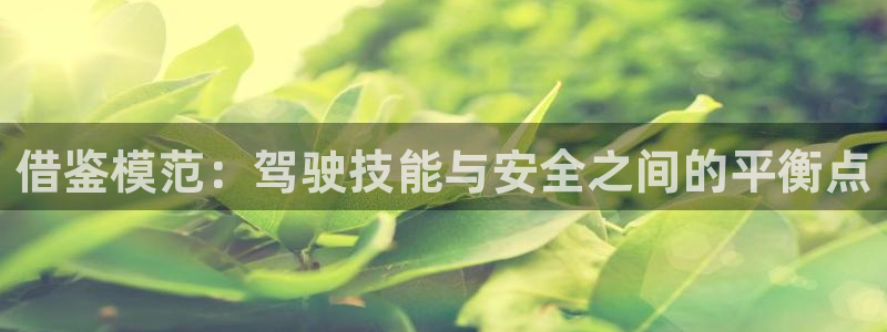 漫画岛屿：借鉴模范：驾驶技能与安全之间的平衡点